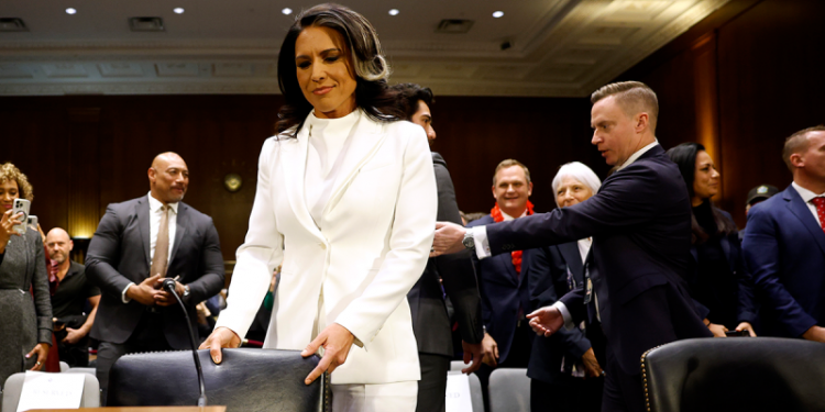 ‘Lies and smears’: Tulsi Gabbard rails against Dem narrative she’s Trump’s and Putin’s ‘puppet’