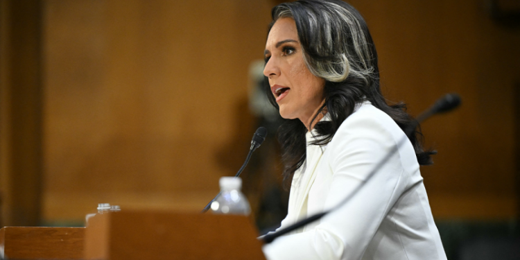 Gabbard sheds light on Assad visit, expresses shock intelligence community showed no interest at the time