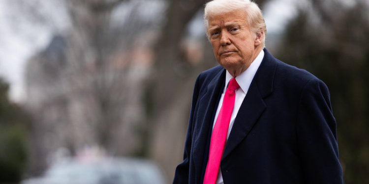 ‘If you don’t answer … you’re fired’: Trump stands behind Musk’s DOGE productivity email