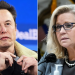 ‘Damn right’: Liz Cheney’s past USAID employment faces backlash after lashing out at Elon Musk