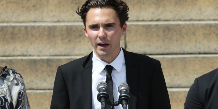 DNC lambasted for ‘beyond parody’ leadership vote that included singing, gender rules: ‘Can’t stop laughing’