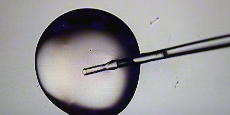 ‘Promises kept’: Trump signs executive order to ‘aggressively’ make IVF more affordable and accessible