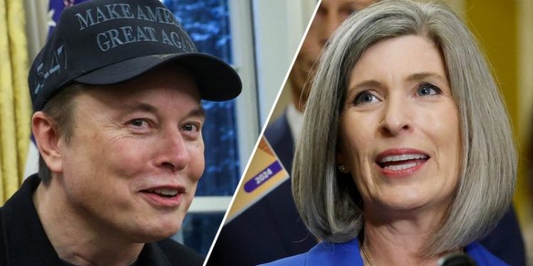 Senate DOGE chair says she speaks with Elon Musk ‘every few days’ as Trump admin slashes spending