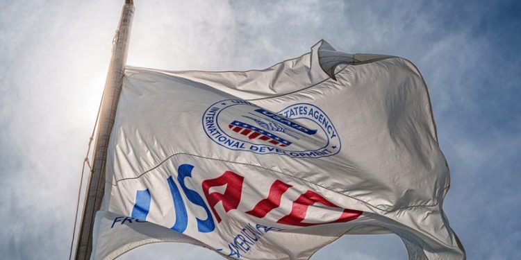 Musk’s DOGE takes aim at ‘viper’s nest’ federal agency with global footprint