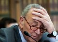 Shutdown averted after Schumer caves and backs Trump spending bill