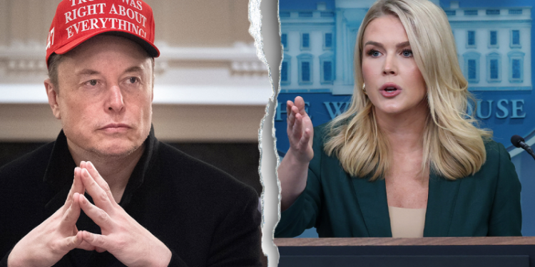 Elon Musk tapped to help lead investigation into Signal chat leak: White House