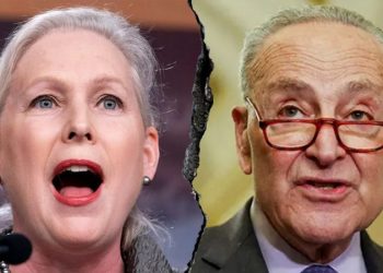 Dem heard screaming at colleagues despite Schumer’s unity claim as shutdown looms