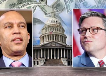 Dems weaponize Medicaid anxiety in bid to take down Trump-backed federal funding plan