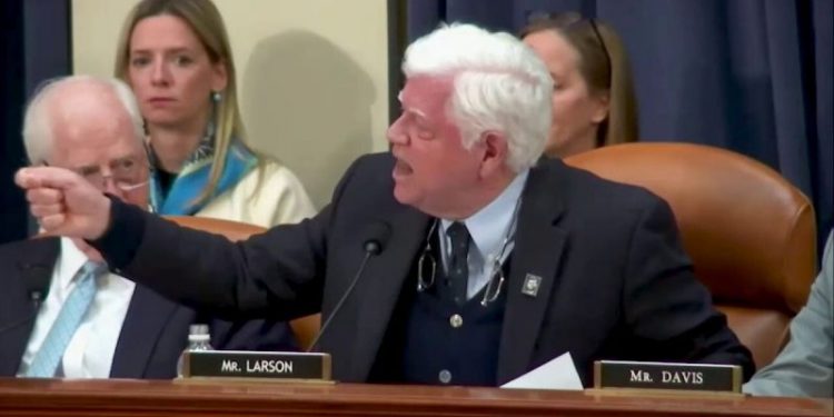 House Dem goes on screaming rant against Elon Musk, DOGE: ‘Shame!’