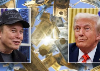 Trump allies mount campaign to get DOGE codified by Congress
