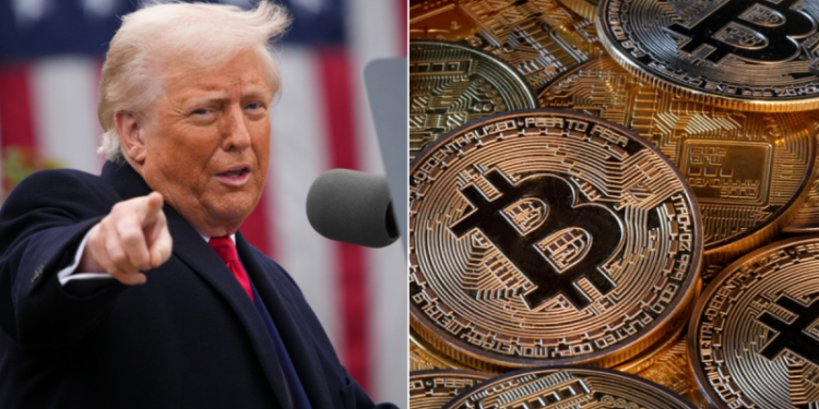 New Trump-linked consulting firm launches in DC to navigate crypto, AI : ‘Trust, connected voice’