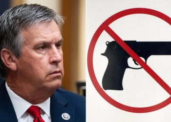 Bill taking aim at IRS would strip agency of guns and ammo