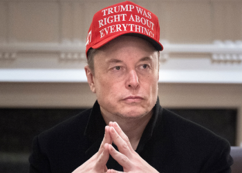 Musk says he hopes for ‘zero tariffs,’ freedom of trade zone between US and Europe