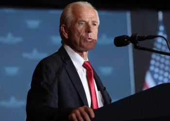 Musk spars with White House trade advisor Peter Navarro: ‘Dumber than a sack of bricks’