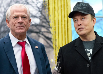 Navarro brushes off feud with Elon Musk: ‘Boys will be boys’