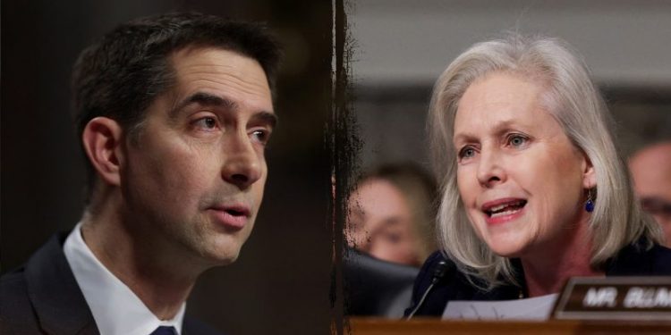 US military would be unleashed on enemy drones on the homeland if bipartisan bill passes